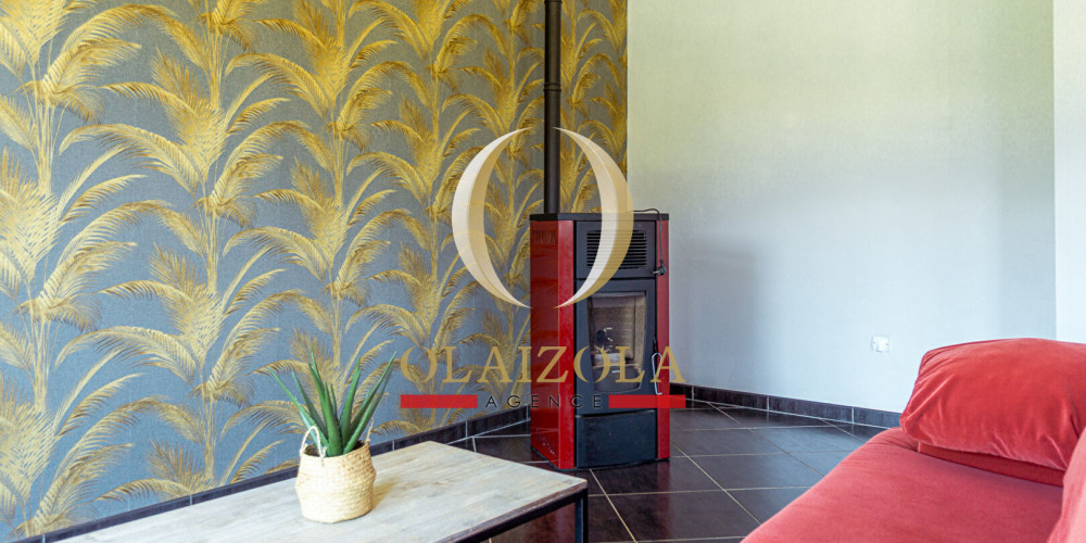 appartement à ST PEE SUR NIVELLE (64310)